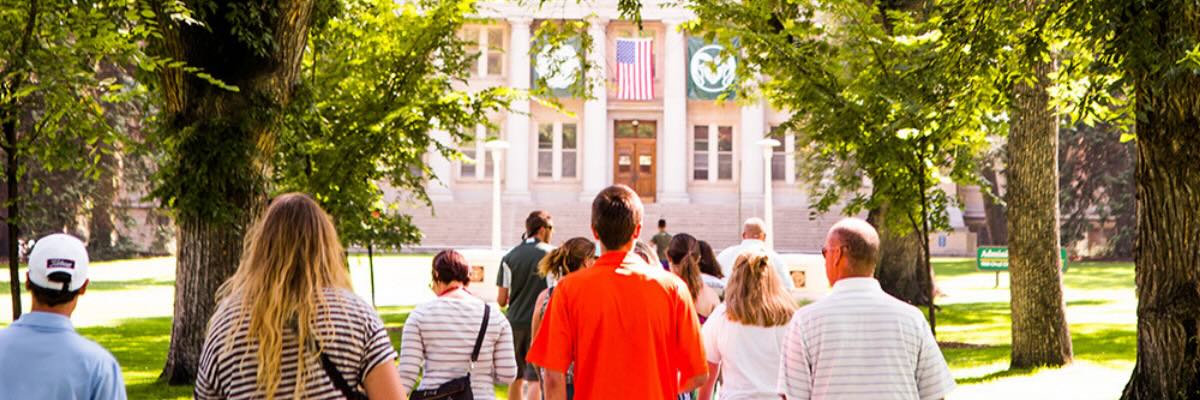 A number of students visiting a college